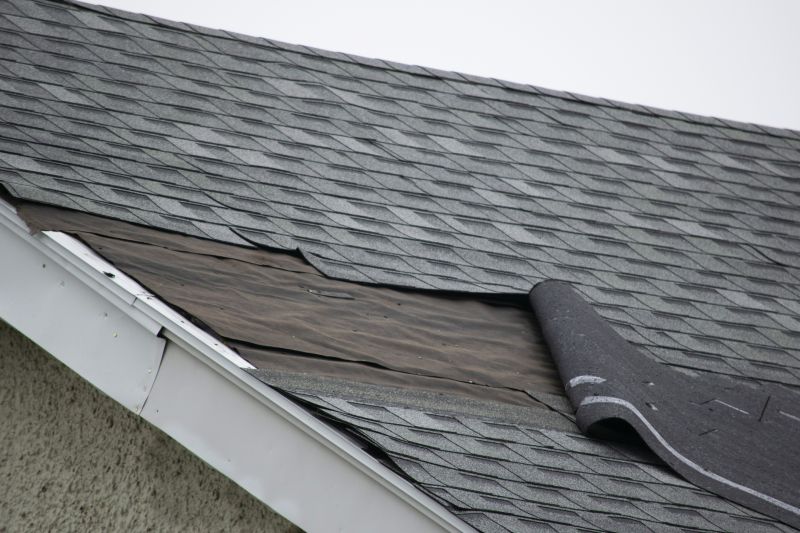 Asphalt Shingle Damage Repair